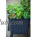 Keter Easy Grow Resin Elevated Garden, All Weather, Self-Watering Plastic Planter, Brown Rattan   553520495